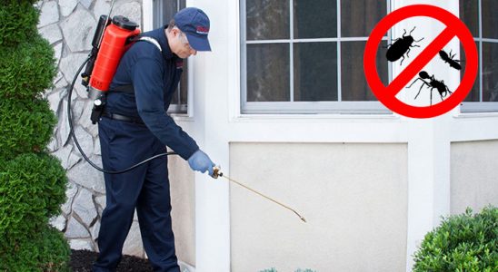 Yığılca Bit İlaçlama böcek ilaçlama ve haşere kontrolü — ilaclama-tr.com